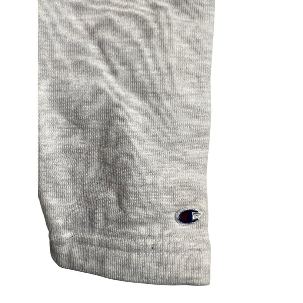 Champion Panthers Hoodie University Northern Iowa M Medium Casual Athleisure - Picture 2 of 6
